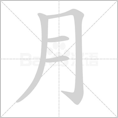 月字部首的字|月字旁的字